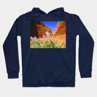 The Olgas Gorge. Uluru-Kata Tjuta National Park. Australia Hoodie